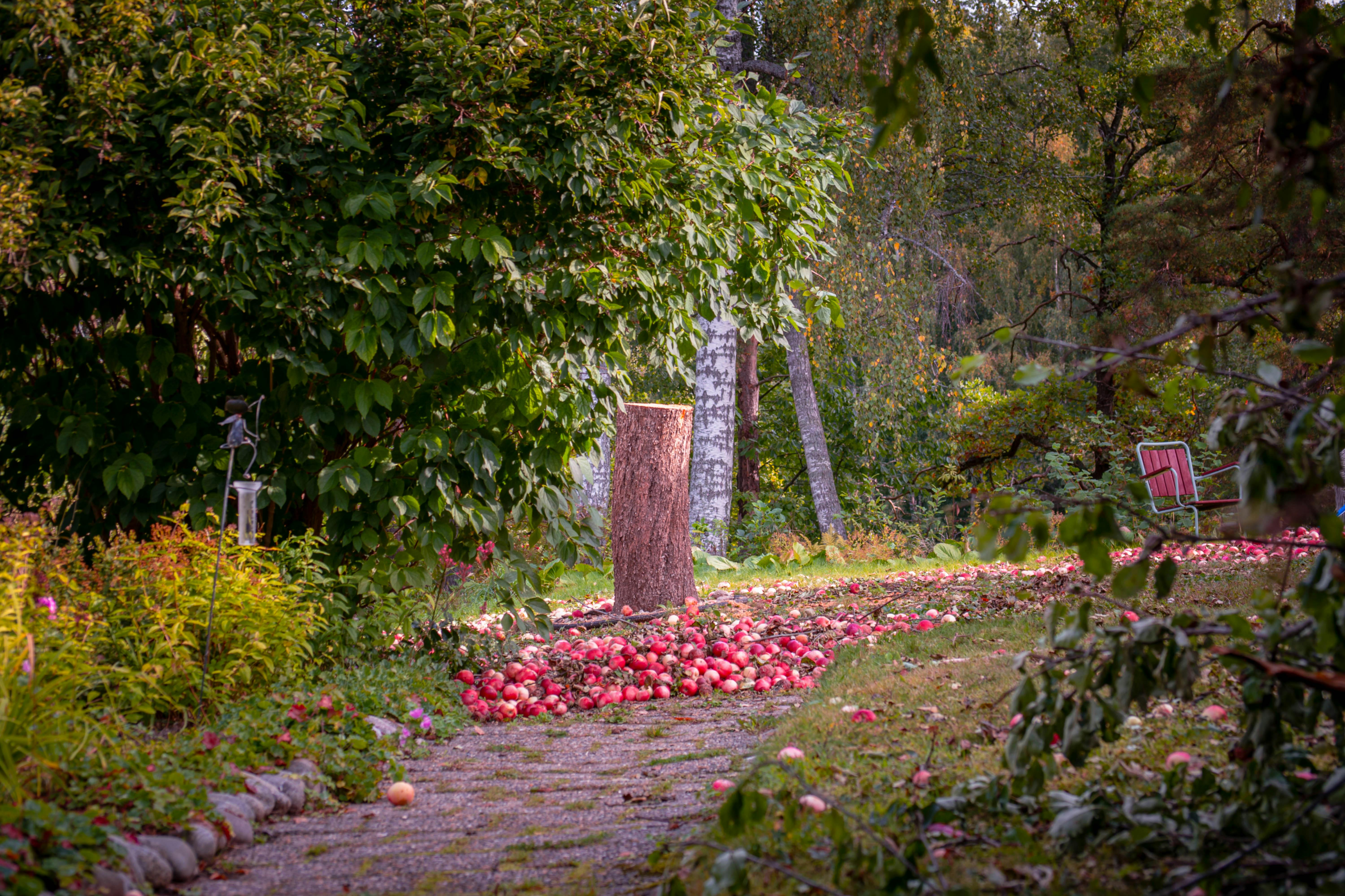 Schaufel im Einsatz