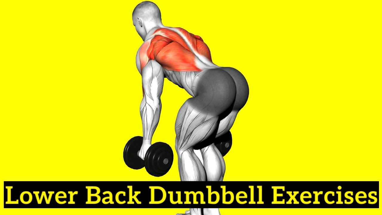 Effective Rückentraining with Dumbbells